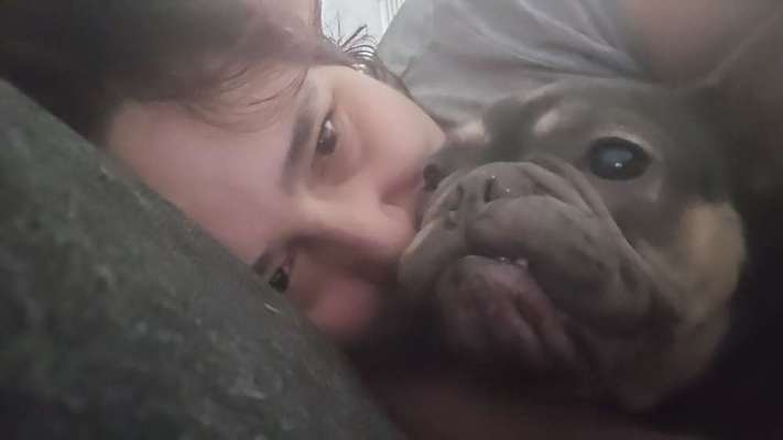 Hundetreffen-Gassirunde für Maya.gesucht-Bild