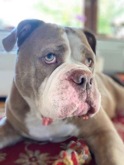 Lieblingsbild-Beitrag-Bild