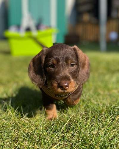 Lieblingsbild-Beitrag-Bild