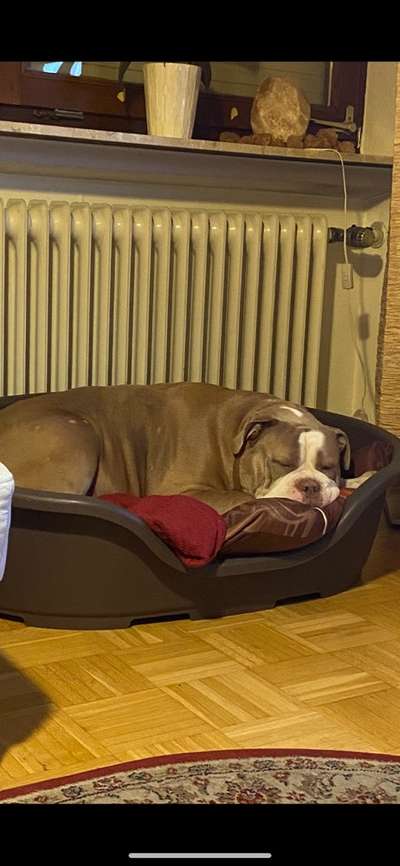 Schlafzeit!💖-Beitrag-Bild