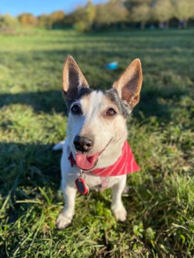 Fotochallenge Nr. 56 - geliebte Senioren-Beitrag-Bild