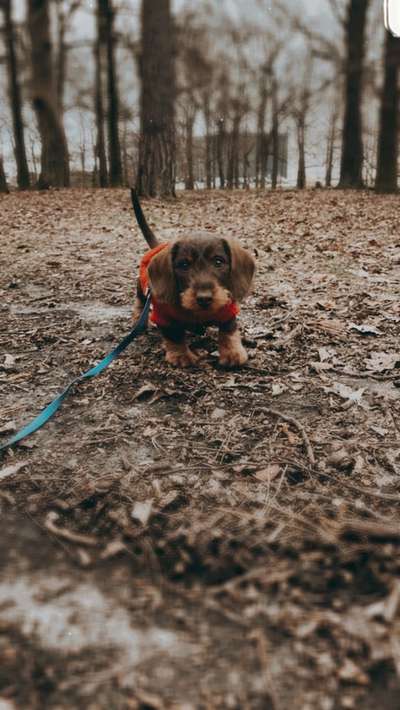 Foto Challenge Nr. 79-Beitrag-Bild