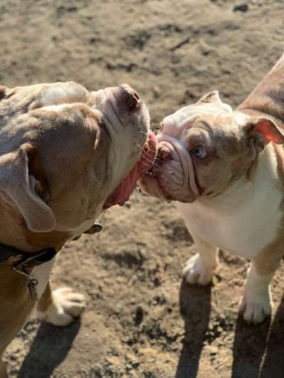 Fotochallenge Nr. 62 Romantische Momente-Beitrag-Bild