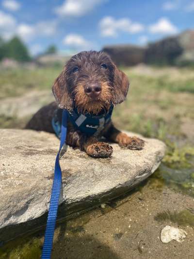 Eure Strandbilder :)-Beitrag-Bild