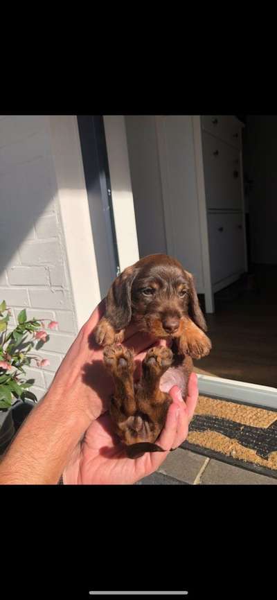 Erstes Bild-Beitrag-Bild