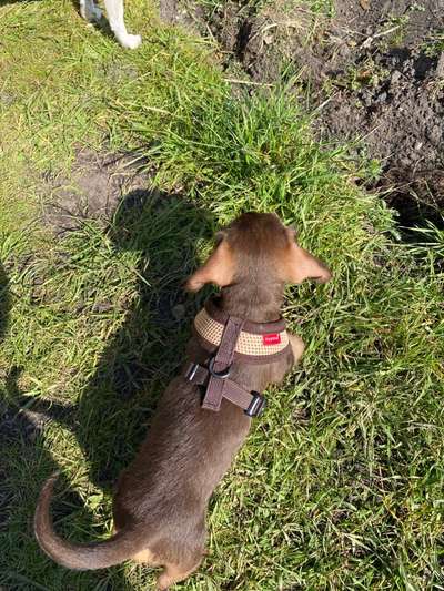 Von oben-Beitrag-Bild