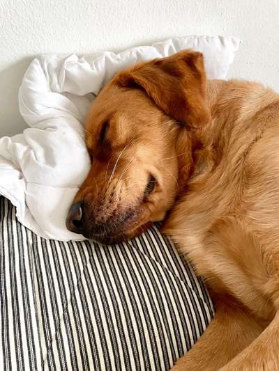 müde der kleine-Beitrag-Bild