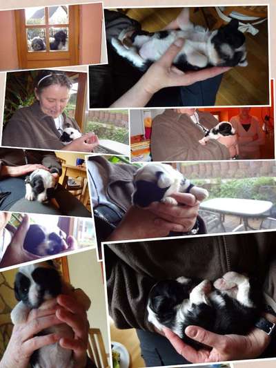 Das erste Foto-Beitrag-Bild