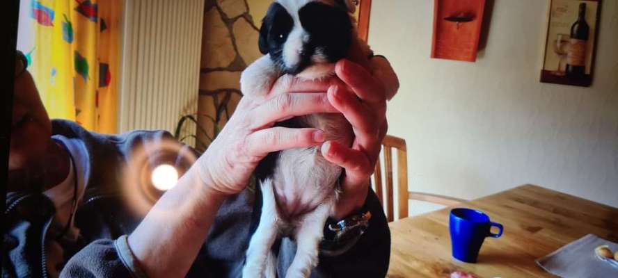 Das erste Foto-Beitrag-Bild