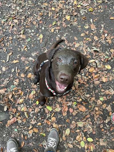 Handy-Foto Challange Nr. 10-Beitrag-Bild