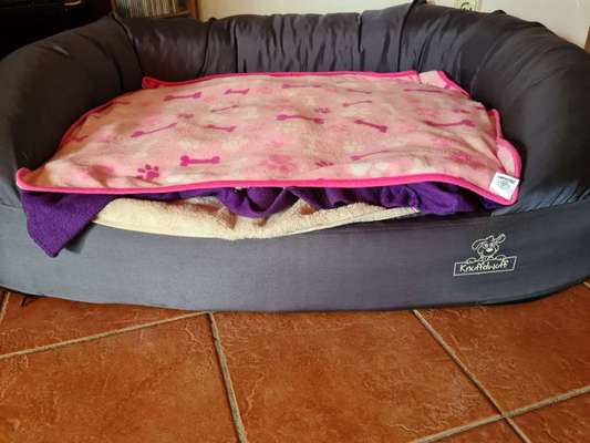 Schlafplatz für den Welpe-Beitrag-Bild