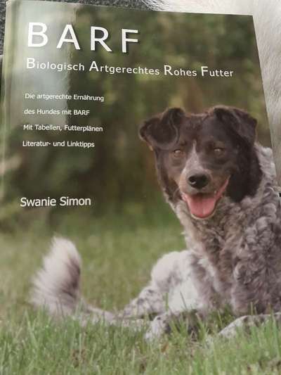 Barfen, wie macht ihr es?-Beitrag-Bild