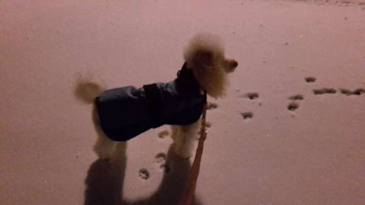 Handyfoto Challange  - Winter,Schnee-Beitrag-Bild