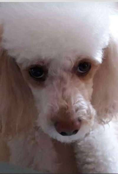 Handy-Foto Challange Nr. 10-Beitrag-Bild