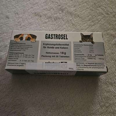 Futterverweigerung-Beitrag-Bild