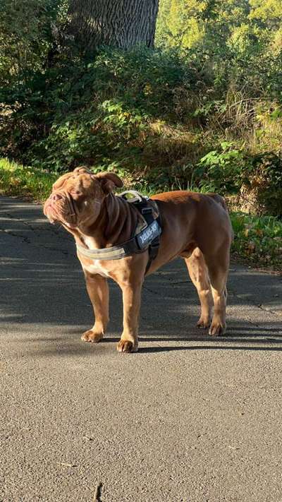 Fotowettbewerb zum Thema "Sonne"-Beitrag-Bild