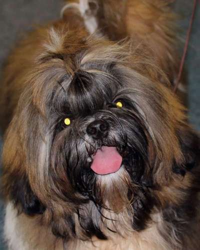 Fotochallange Nr. 57     PORTRÄT.   Beendet!!!!!!!!-Beitrag-Bild