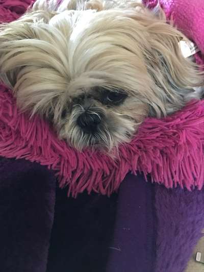 11. Farben Foto Challenge Rot-Beitrag-Bild