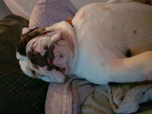 Fotochallenge Nr. 67: Euer Lieblingsbild-Beitrag-Bild