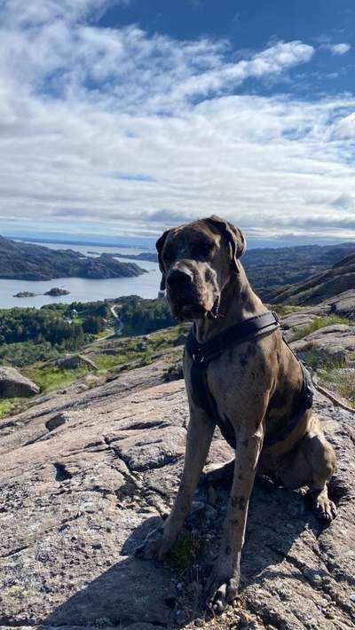 Fotochallenge Nr.100 Urlaubsimpressionen-Beitrag-Bild