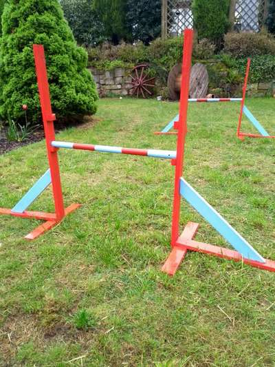 Selbstgemachte Artikel für Hunde-Beitrag-Bild