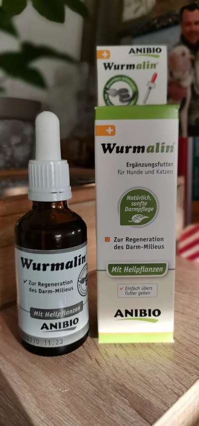 Magen Darmprobleme-Beitrag-Bild