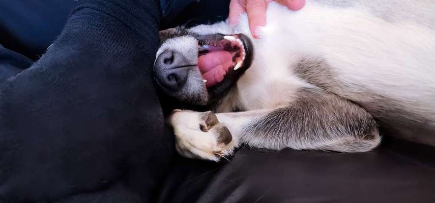 Fotochallenge Nr. 29 - Accessoires-Beitrag-Bild