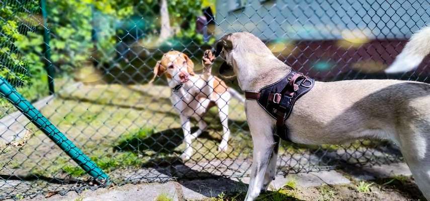 Challenge 30  Freundschaft-Beitrag-Bild