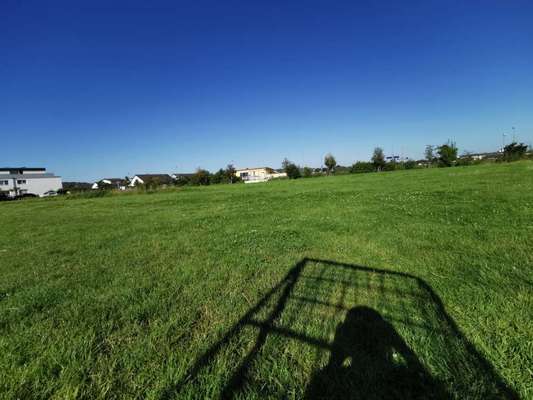 Hundetreffen-Play & Fun Meeting in Duisdorf-Bild