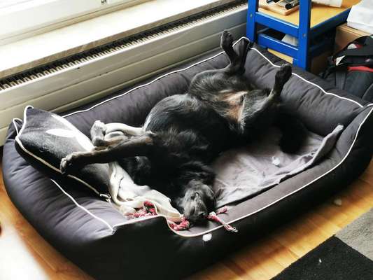 Die unbequemsten und lustigsten Schlafpositionen-Beitrag-Bild