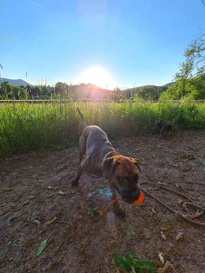 SonnenSTRAHLEN-Beitrag-Bild