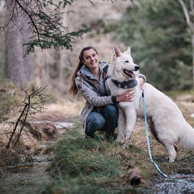 Hundetreffen-Kostenlose Trainingsstunde (bei Hundetrainerin in Ausbildung)-Bild