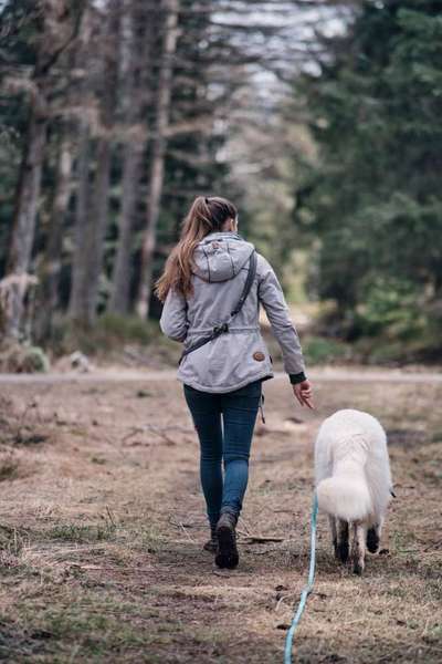 Hundetreffen-Social Walk evtl. mit angeleitetem Sozialkontakt-Bild