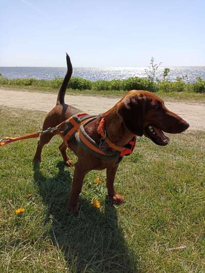 Fotowettbewerb Natur-Beitrag-Bild