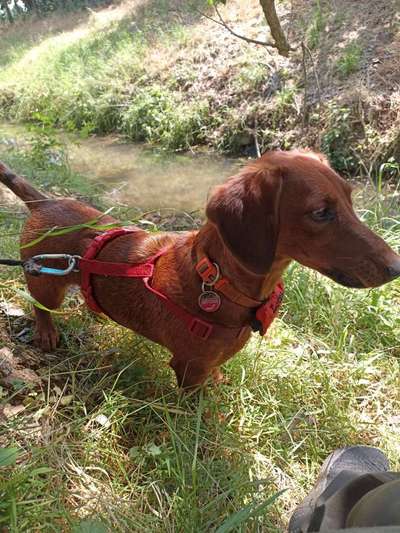 Fotowettbewerb Natur-Beitrag-Bild