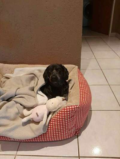 Die unbequemsten und lustigsten Schlafpositionen-Beitrag-Bild