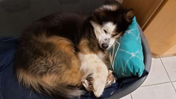 CHALLENGE NR. 34 - Liege-/Schlafpositionen-Beitrag-Bild