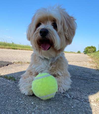 138. Fotochallenge 

(M)Ein Ball und ich-Beitrag-Bild