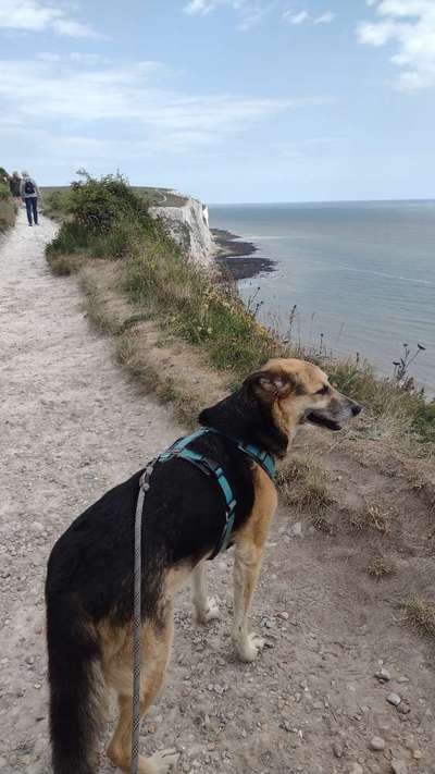 Urlaub mit Tupfenkind in Großbritannien-Beitrag-Bild