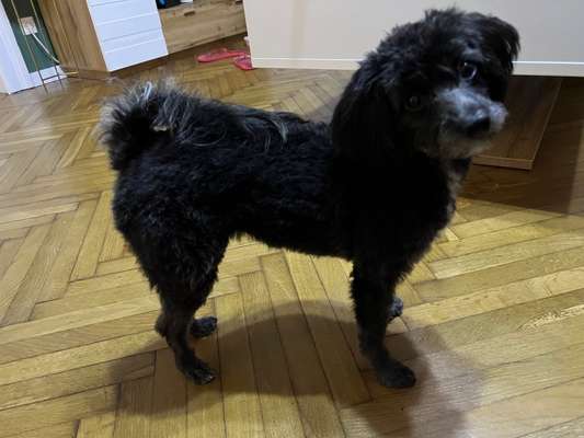 Der Gewichts-Thread-Beitrag-Bild