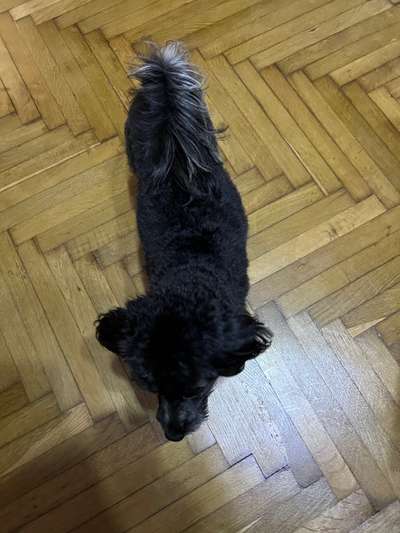 Der Gewichts-Thread-Beitrag-Bild