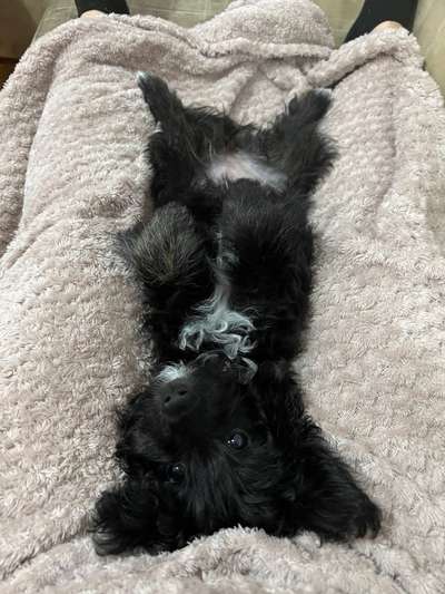 Fotochallenge Nr. 67: Euer Lieblingsbild-Beitrag-Bild