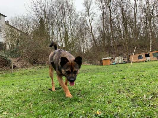 Farben Fotochallenge Thema ,,Grün"-Beitrag-Bild
