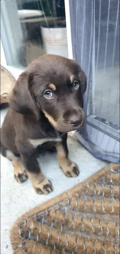 Lieblingsbild-Beitrag-Bild