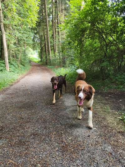 Handyfoto challenge Nr. 13: Waschlappen raus!-Beitrag-Bild