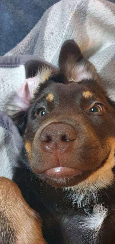 Fotochallange Nr. 57     PORTRÄT.   Beendet!!!!!!!!-Beitrag-Bild