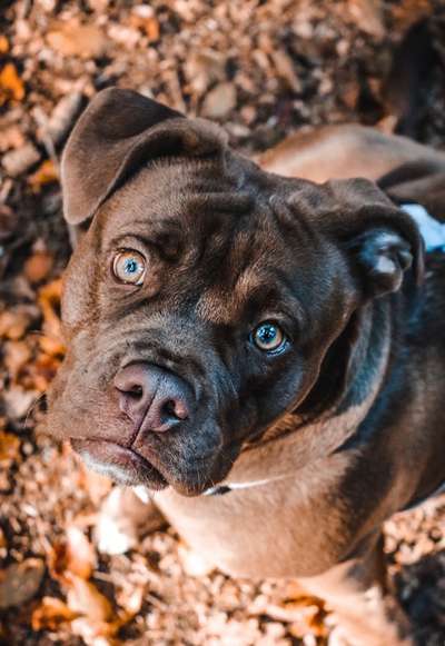 Fotochallange Nr. 57     PORTRÄT.   Beendet!!!!!!!!-Beitrag-Bild