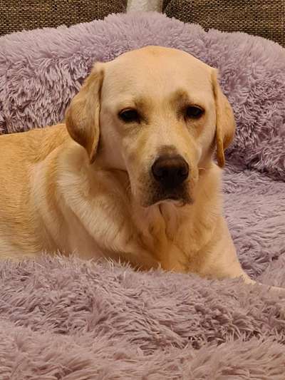 Fotochallange Nr. 57     PORTRÄT.   Beendet!!!!!!!!-Beitrag-Bild