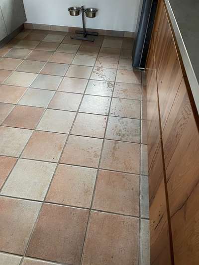 Du weißt, du hast einen Hund wenn...-Beitrag-Bild