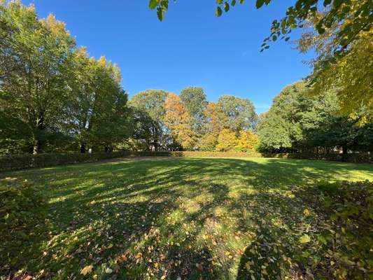 Hundeauslaufgebiet-Wiese am Werftpark-Bild